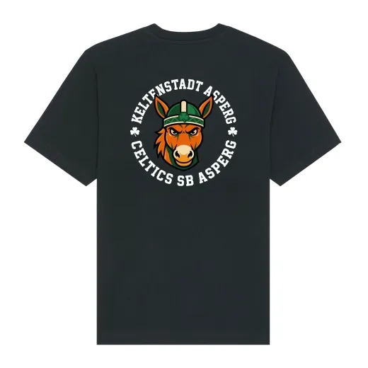 Celtics Asperg Oversized Fan Tee – Freestyler